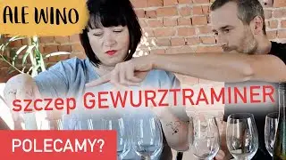 WSZYSTKO o szczepie GEWURZTRAMINER | ABC Ale Wino