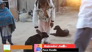 अगर आपको कुत्ते से डर लगता है तो इस कुत्ते को दोस्त बना लो डर भाग जाएगा | dog ocd | dog phobia