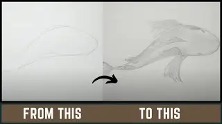 How to A Draw Fish Easy and Detailed Guide