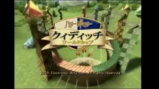 【タックルだけで勝てる】クィディッチワールドカップ　やってみた【ハリポタ】