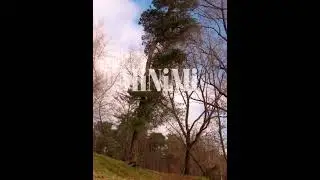 Плотные цветные колготки с теплым ворсом на внутренней стороне PIUMA 260 den