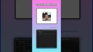 How To Create Shake Css Effect | Css Card Animation Effects | Css Effect Video | Codernobita |