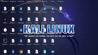 How to use PROXYCHAINS with a free proxy in Kali Linux