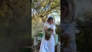 becoming a beekeeper 🐝🍯