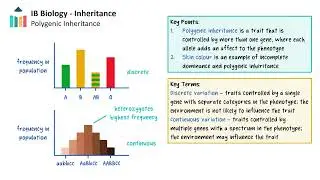 Inheritance [IB Biology SL/HL]