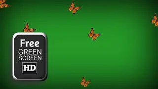 Butterfly green screen | green screen butterfly effects | green screen flying butterfly effect