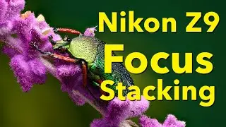 Z9 Focus Stacking