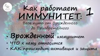 Всё про врождённый иммунитет