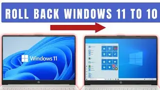 How to rollback Windows 11 to Windows 10  without any data loss [Hindi] | Tutorials Buddy