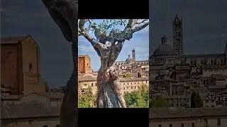 Bronze Sculpture ofThe Tree Of Life by Andrea Roggi In Siena, Tuscaany, Italy