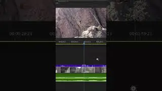 Adding Film Looks - Learning Premiere Pro 2024 #premierepro #filmediting #davinciresolve #filmlook