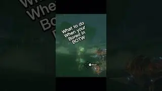 What to do when your bored in BOTW