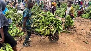 Large banana and plantain market in Owena ijesa, Osun State Nigeria