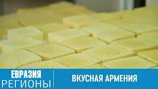 Смарт-ферма и рай для сырного гурмана: чем славится армянский Ташир?