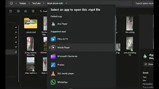 How to make a particular video playing app as default in Windows 11 based PC