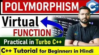 Polymorphism in C++ | Virtual Function in C++ | C++ Tutorial for Beginners 