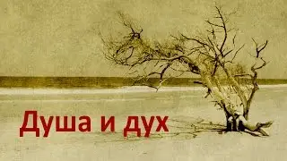 Душа и дух. В чём разница и что означает