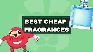 TOP 5 MOST COMPLIMENTED COLOGNES FOR MEN | Cheap Fragrances