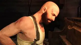 Max Payne Harmony