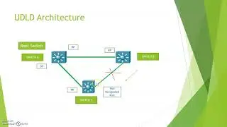 Unidirectional Link Detection (UDLD)