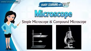 Microscope | Educational Microscope | Difference between Simple Microscope and Compound Microscope