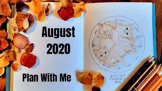 AUGUST 2020 BULLET JOURNAL SETUP ~ Plan With Me ~ Cat Theme