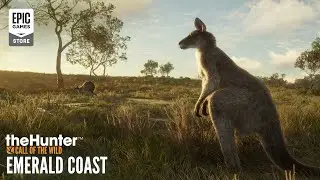 Emerald Coast Australia Teaser Trailer | theHunter: Call of the Wild