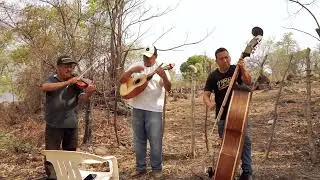 Con tololoche - Piensa Morena - Domi Quevedo acustic