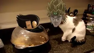 Jotaro Angry