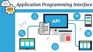 What is an Application Programming Interface | API in Urdu / Hindi