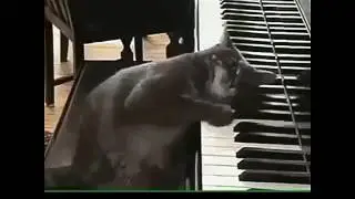 Песенка для детей