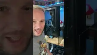 Mad respect for the Ender 3 V3 #shorts