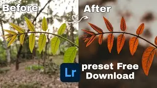 mobile photography editing tutorial | Lightroom preset free Download | blur image background