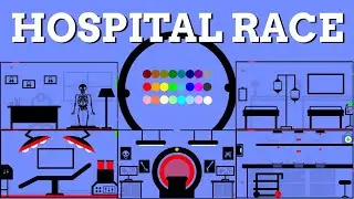 24 Marble Race EP. 41: Hospital Race (by Algodoo)