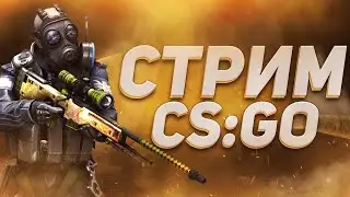 🎮СТРИМ CS:GO ВЫХОД С СИЛЬВЕРОВ  ДОБИВАЕМ 2000💜