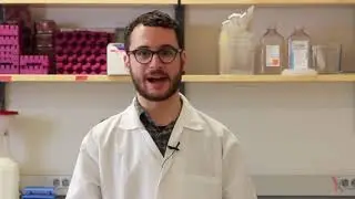 PCR Method Video