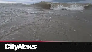 Tracking Lake Erie's missing reptile