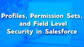 Profiles, Permission Sets, and Field Level Security in Salesforce | Object Level vs Record Level