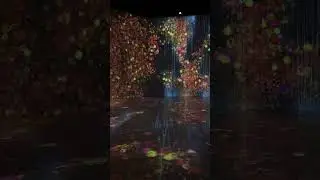 Floating flowers space #art #miami