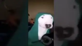 Дабл Дабл Дабл ЕС ес ес