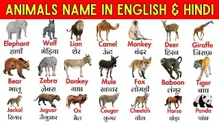 100 Animals Names (जानवरों का नाम) in pronunciation | 100 जानवरों के नाम हिंदी और इंग्लिश में