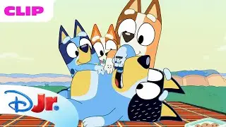 Bluey Season 1 Blue Mountains Episode Clip | @disneyjunior x @BlueyOfficialChannel