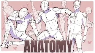 How to study anatomy