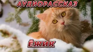 АУДИОРАССКАЗ "ЁЖИК"