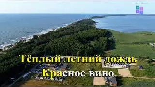 Красное вино Каменских