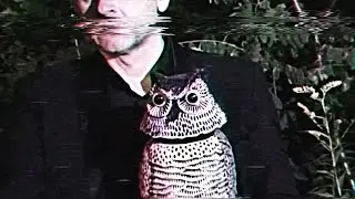 DAS MOON - OWL [OFFICIAL VIDEO - 2018]