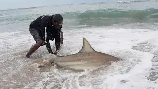 Bank Fishing for Blacktip Sharks - ft. Kanalgratis