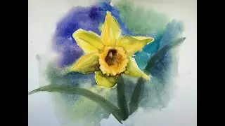 Daffodil in Watercolour