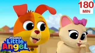 Bingo's Playdate  | Kids Cartoons and Nursery Rhymes