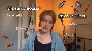 жизнь в общежитии:🪳треш🪳 истории из общаги